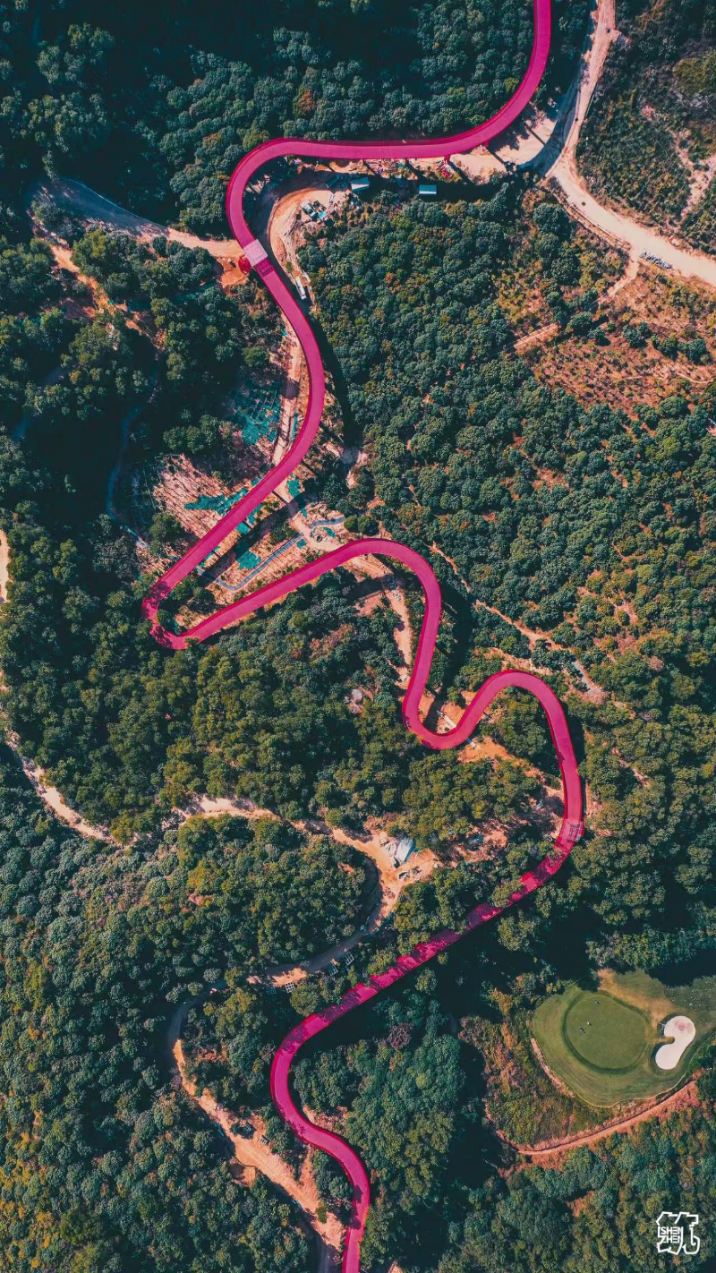 已编辑图片
