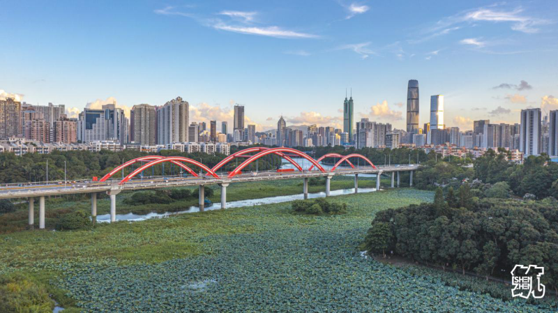 已编辑图片