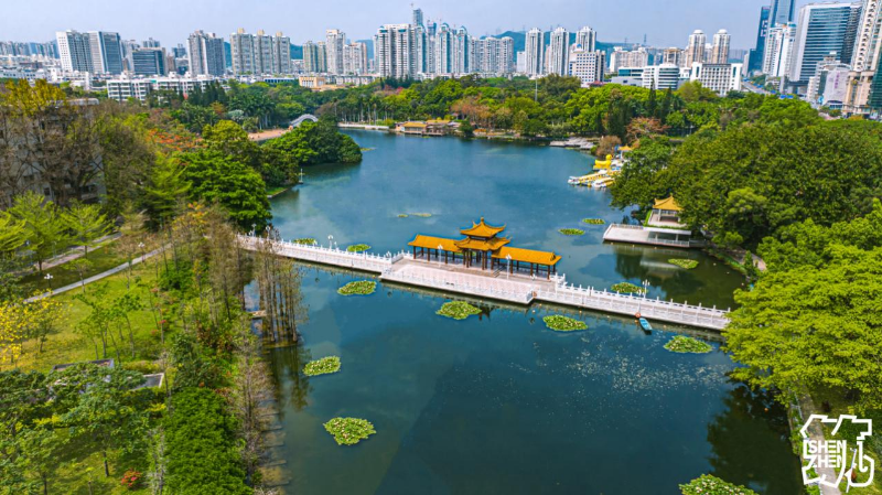 荔枝公园.jpg