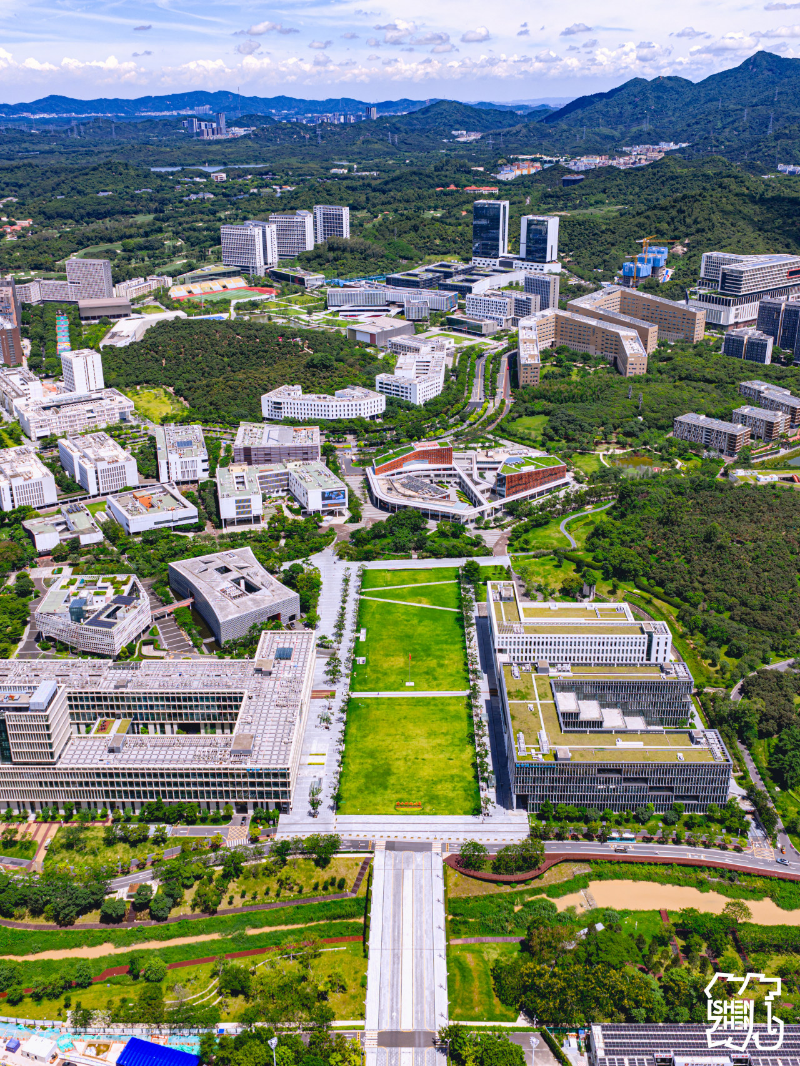 南方科技大学.jpg