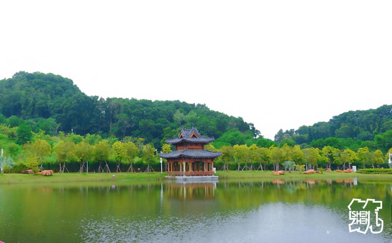 深圳北理莫斯科大学3.jpg