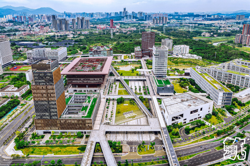 深圳技术大学.jpg