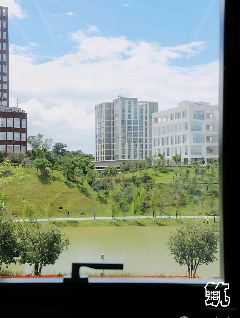 深圳技术大学2.jpg