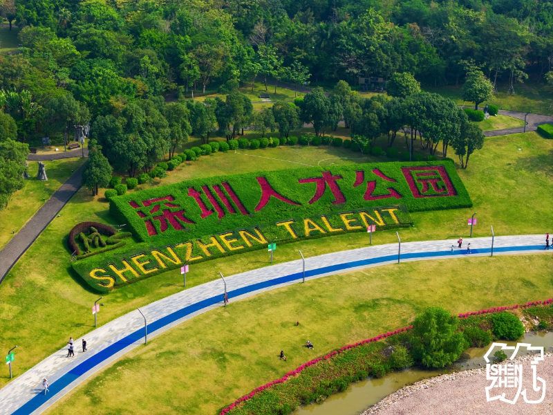 深圳人才公园.jpg