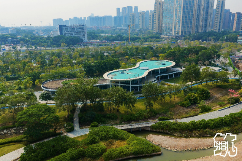 深圳人才公园2.jpg