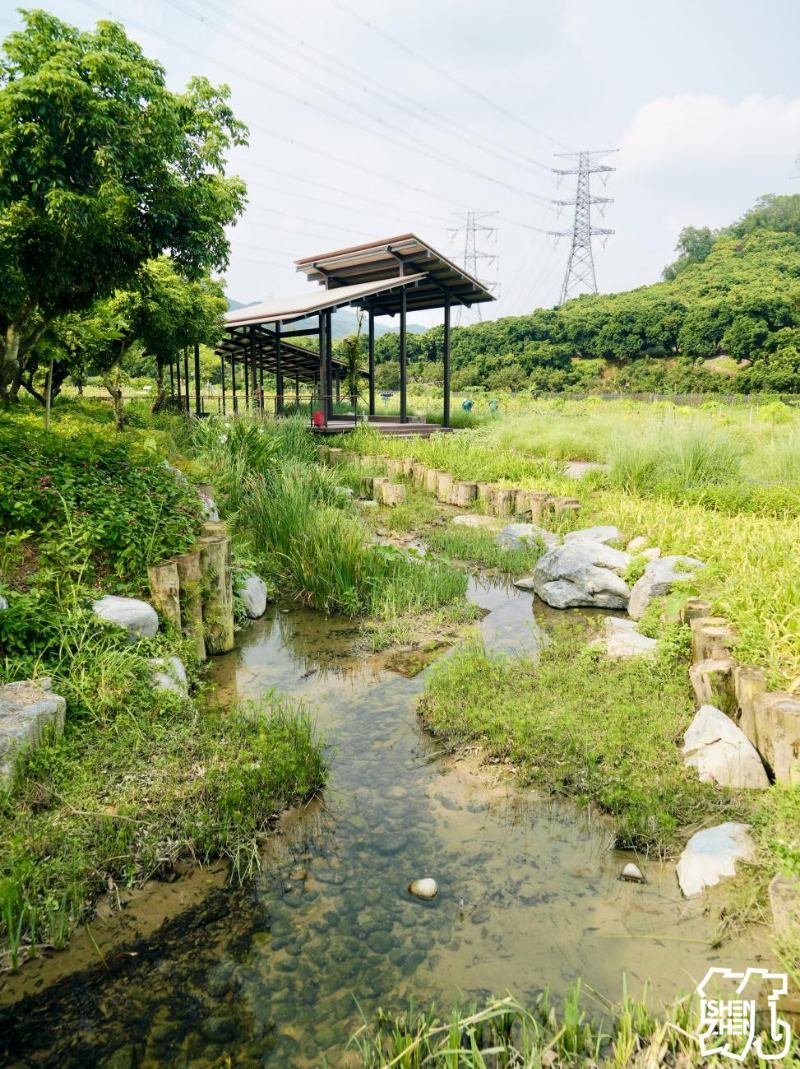 环西丽湖绿道(碧道)4.jpg