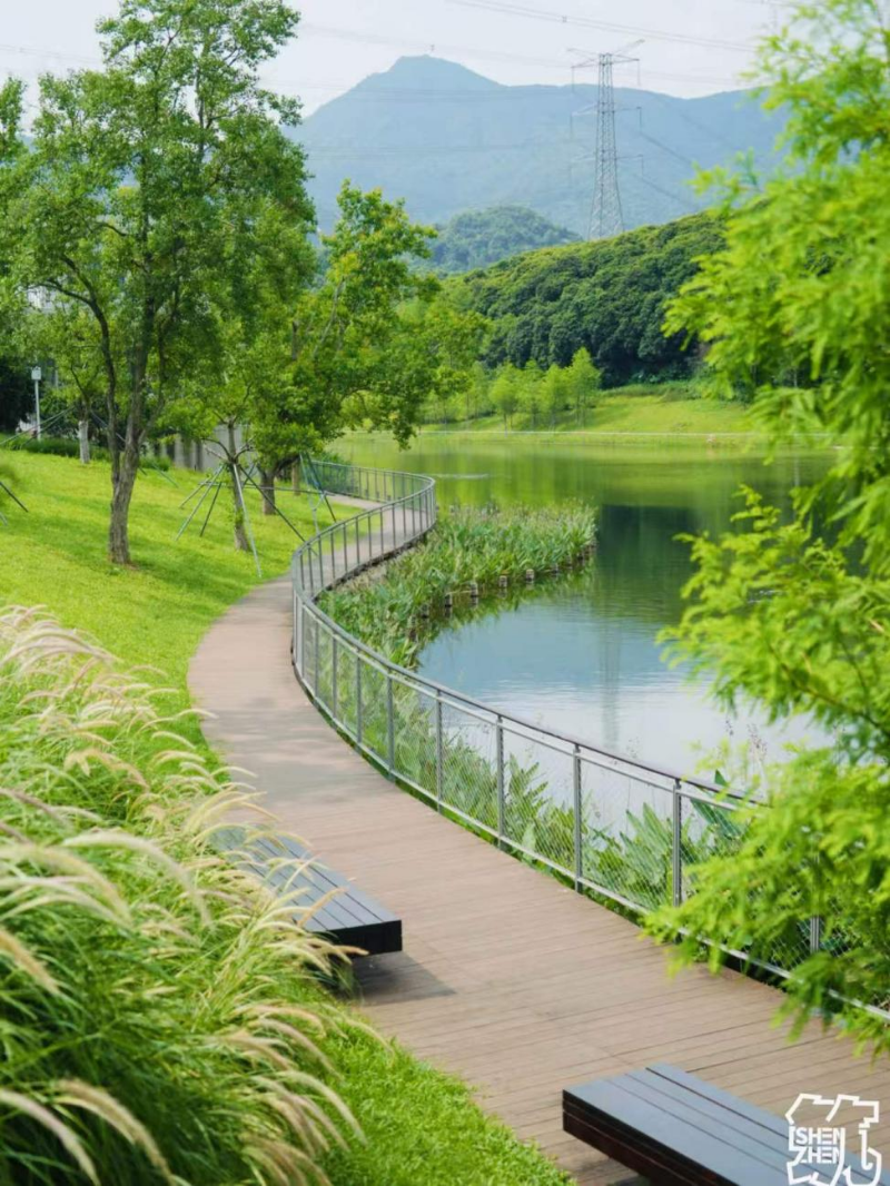 环西丽湖绿道(碧道)2.jpg