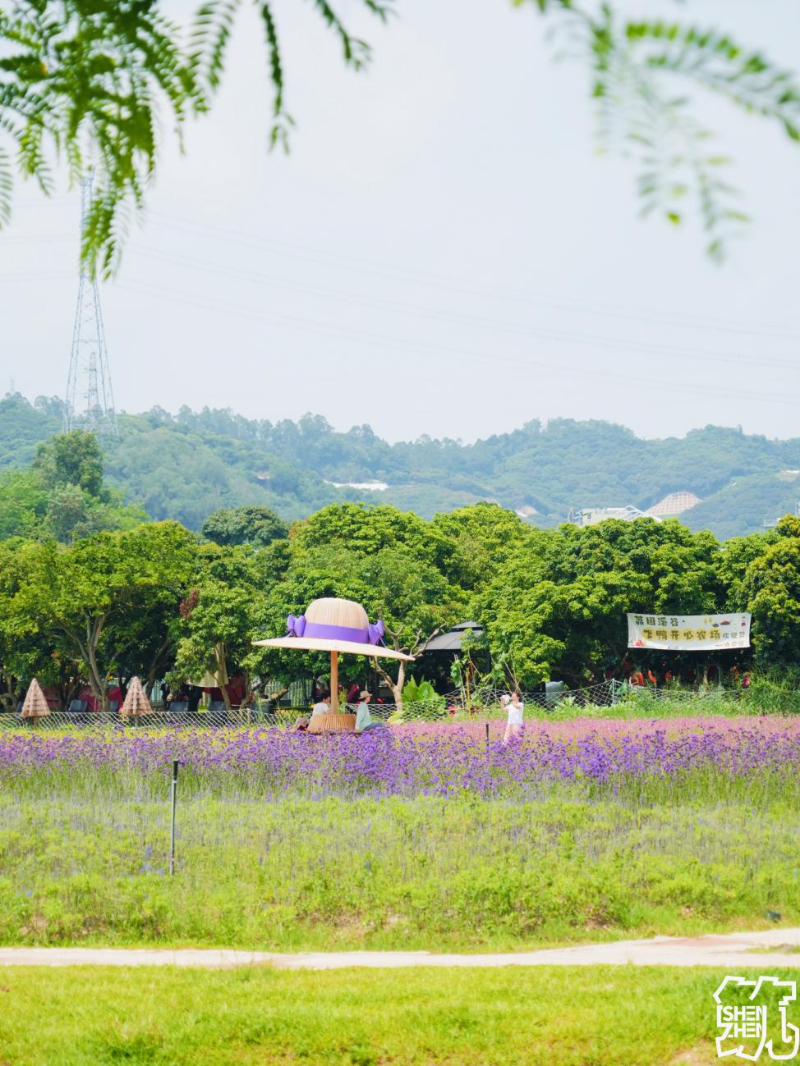 环西丽湖绿道(碧道)3.jpg