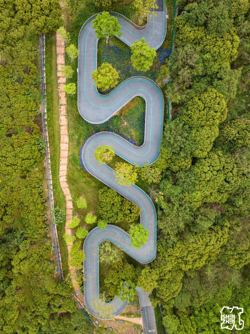 环西丽湖绿道(碧道)5.jpg