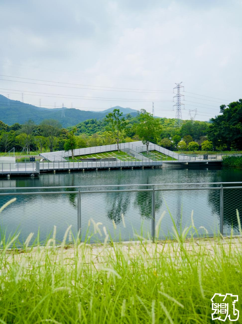 环西丽湖绿道(碧道)7.jpg